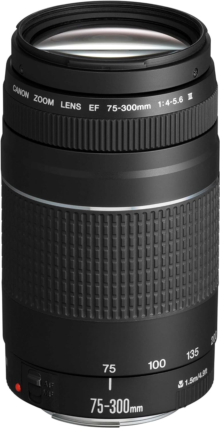 Canon EF 75-300mm f/4-5.6 III Lens